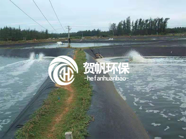 水產(chǎn)養(yǎng)殖防滲工程